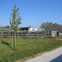 Paardensportcentrum Pegasus