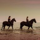 Paardensportcentrum Pegasus