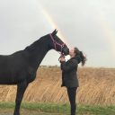 Paardensportcentrum Pegasus