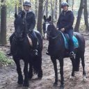 Paardensportcentrum Pegasus