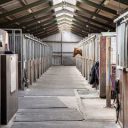 Paardensportcentrum Pegasus